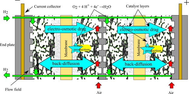 Flow in a Fuel Cell